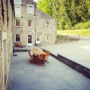 Le petit gîte